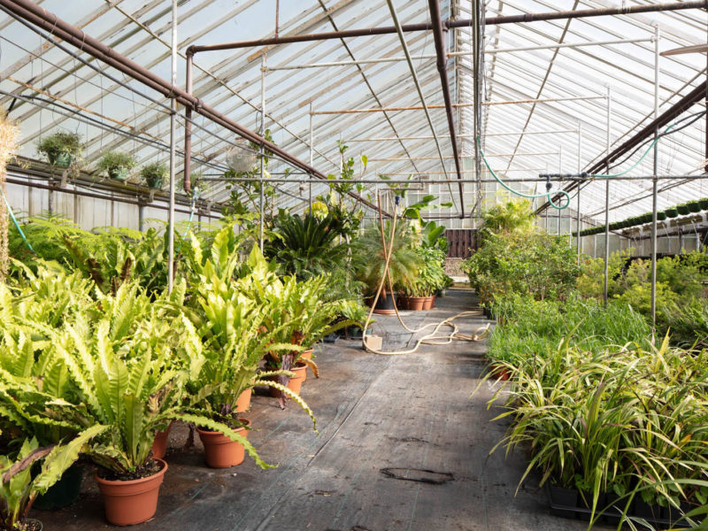 Botanical garden - Greenhouse