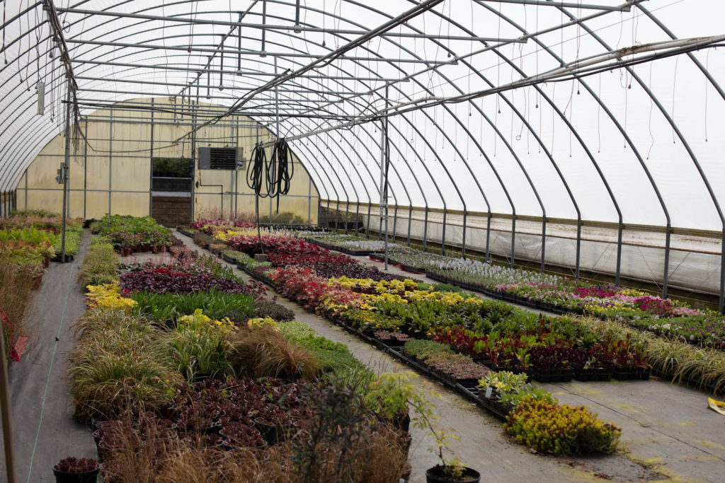 About Westhills — WestHills Greenhouses